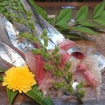 Kaisen Izakaya Fudou - 秋刀魚の刺身