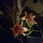 エスプリモダン めろん - 