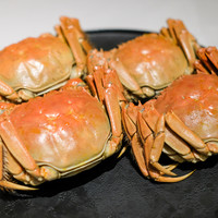 中国飯店 富麗華 - 左おす♂毛がもじゃもじゃ　　右めす♀