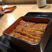 うなぎ 目白ぞろ芽 - 