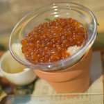 ビストロ セレニテ - 