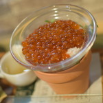 ビストロ セレニテ - 