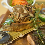 ビストロ セレニテ - 