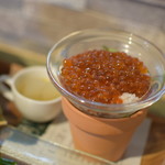 ビストロ セレニテ - 