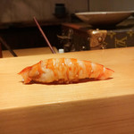 鮨 尚充 - 車エビ