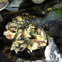 焼鶏あきら 中目黒本店 - 炭火焼鶏