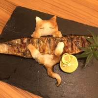 しゃぶしゃぶ・創作料理居酒屋 豚吟 栄店 - 