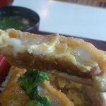 ひだのかみ - カツアップ