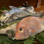魚めし 竹亭 - 本日の魚 煮魚、焼き魚に調理して頂けます。天然魚しか使わない拘りです。
