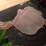 見てこの綺麗なお刺身