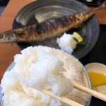 ごはん屋 たこ八食堂 - 