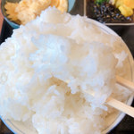 ごはん屋 たこ八食堂 - 