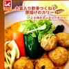 SOUP CURRY KING - 料理写真: