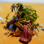 長谷川 稔 - しか