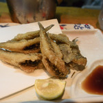 和乃家 - 【2019年9月】 はぜ唐揚げ（小ぶりですが丁寧に下処理されています）