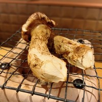 弧玖 - 