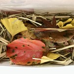 傳 - 凌ぎ：傳タッキー