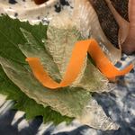 鰻はし本 - うな刺し