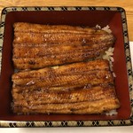 鰻はし本 - 横山さんの鰻の最終ヒネ仔の鰻重