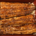 鰻はし本 - 横山さんの鰻の最終ヒネ仔の鰻重