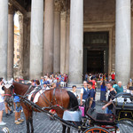 Tucci restaurant - 馬車を引く馬と目が合って