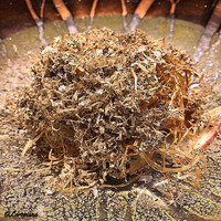 丸新 - 鮑のｺﾝﾌｨ ﾄﾘｭﾌ掛け