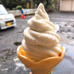 Takimotoya - 本わさびのソフトクリーム