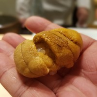 鮨 なんば 日比谷 - 雲丹　佐賀県唐津の呼子