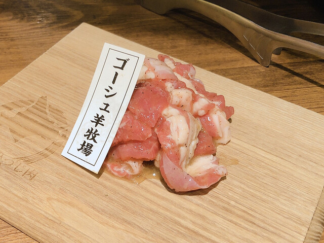 北海道産羊】サフォーク♀頭骨標本 | www.fachstelle-leavingcare.de