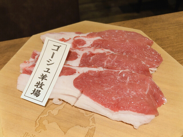 北海道産羊】サフォーク♀頭骨標本 | sisagci.com