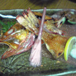 ほてい鮨 - キンキの塩焼き　