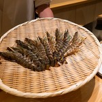 鮨 なんば - 宇部の車海老