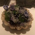 Geranium - Oyster "Tartlets" with Cucumber & Truffle Seaweed