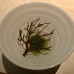 Geranium - "The Forest" Wood Sorrel & Woodruff