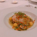 Savelberg - Monkfish