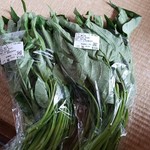 横瀬農産物直売所 アグリマルシェよこぜ - 空心菜