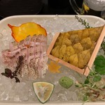 楽処ふるさと - 料理写真:特上のどぐろ、川棚・赤うに