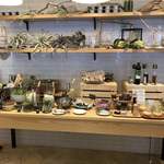 シナグロ オーガニックサラダ＆カフェ - 