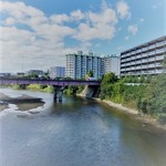 中華そば志のぶ支店 - お店近くの広瀬川※台風19号上陸前ね！