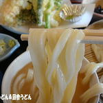 田舎うどん てつ - 2012年2月　うどんアップ