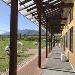 ヤツレン ソフトクリーム売店 - 外観