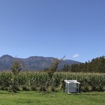 ヤツレン ソフトクリーム売店 - 八ヶ岳連峰
