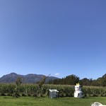 ヤツレン ソフトクリーム売店 - 八ヶ岳連峰