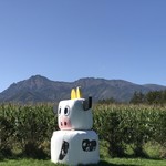 ヤツレン ソフトクリーム売店 - 八ヶ岳連峰