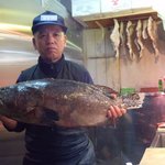 Umino Shiki - 【幻の高級魚　クエ】　他ではなかなか味わえない旬の味を是非！※信頼している魚屋さんから仕入れてます！