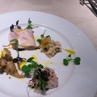 ダルマット 六本木ヒルズ店 - 