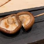 焼き鳥 とりら - 