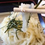 大地のうどん - 