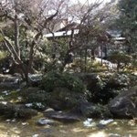 京料理 京の宿菊水  - 