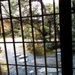 京料理 京の宿菊水  - 